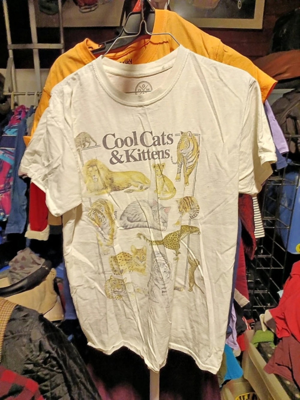 Cool Cats & Kittens Graphic Tee